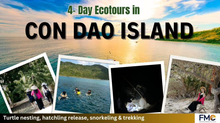4-day ecotours in Con Dao island