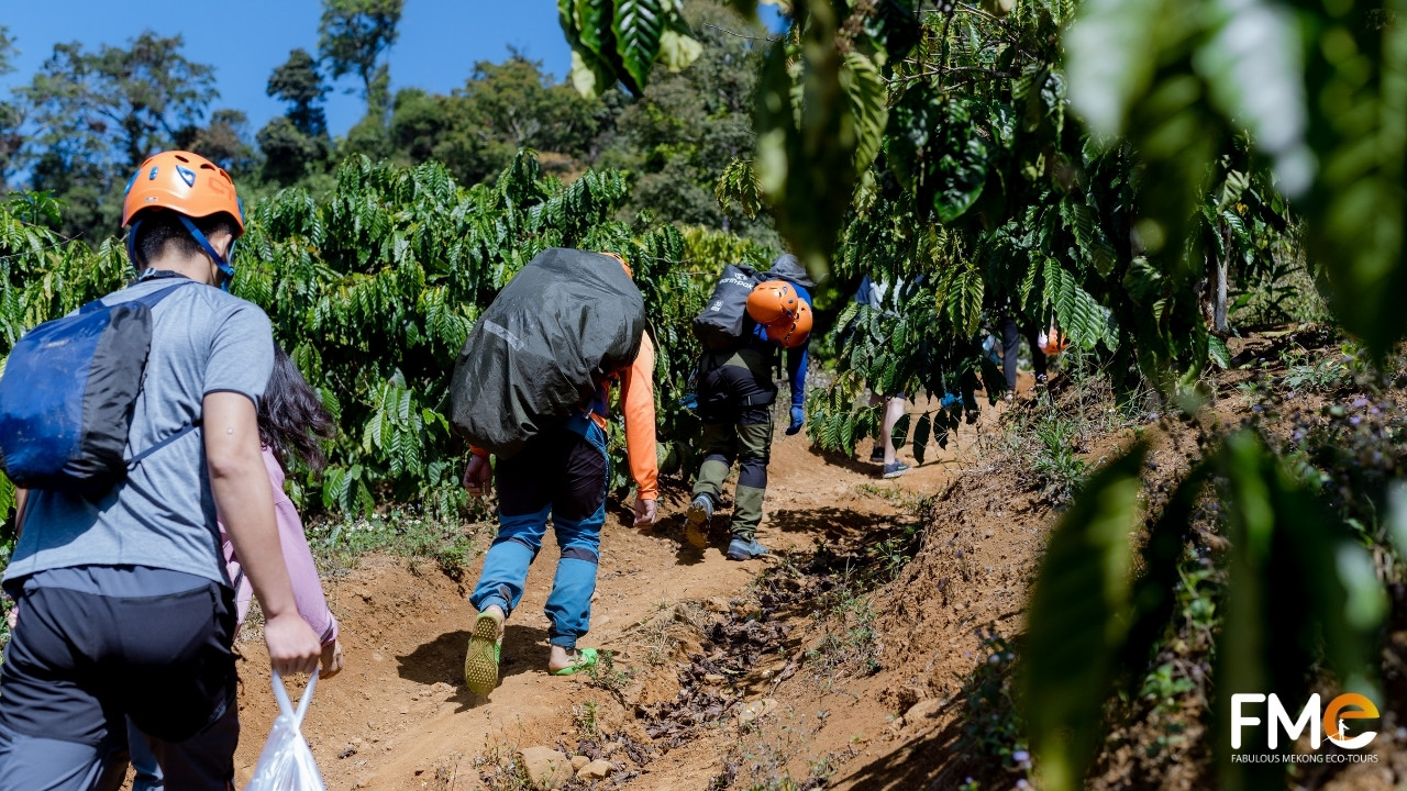 Group of hikers with backpacks trekking up a dirt path through a coffee plantation in Ta Dung.