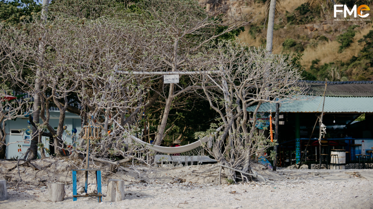 A hammock tied between bare trees on a quiet white sand beach, representing the mindful relaxation and silence of soft travel.